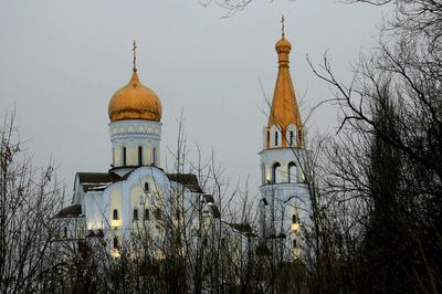 25 января – в День российского студенчества архиепископ Самарский и Сызранский Сергий совершил торже